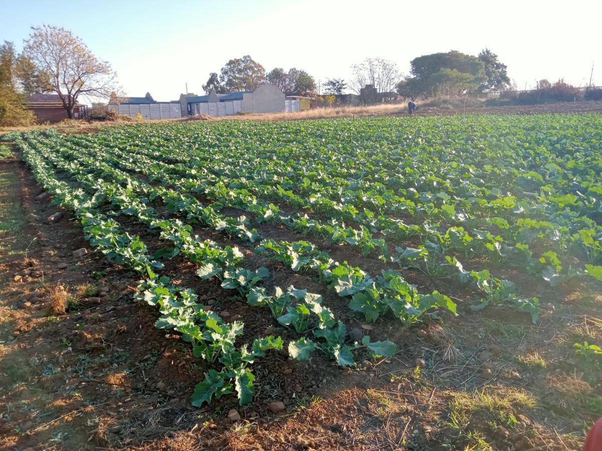 Shalom Place Of Peace Vasfontein 외부 사진