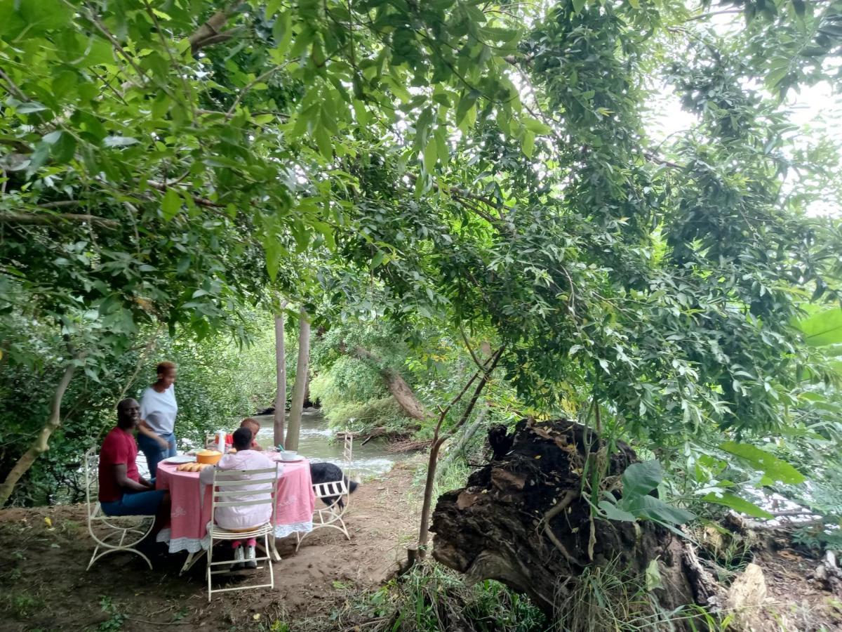 Shalom Place Of Peace Vasfontein 외부 사진